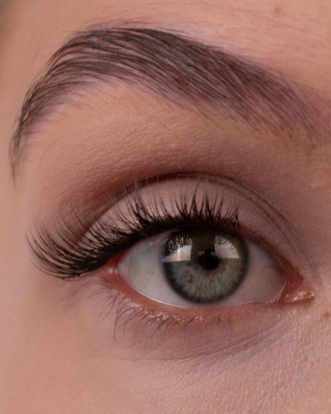 Lash Segments by Bloeming Beauty - DIY/Cluster Lashes